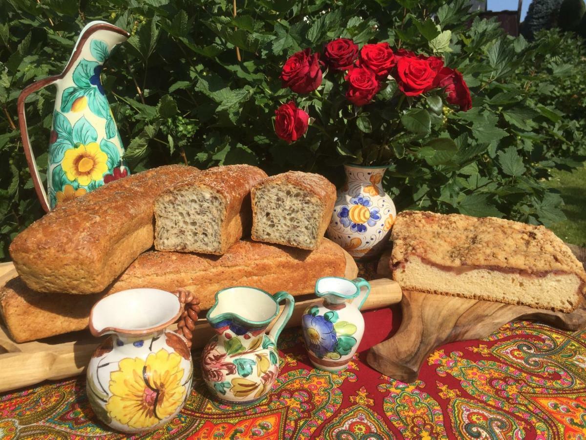مبيت وإفطار بيالكا تاترزانسكا Dom Rodziny Sojkow المظهر الخارجي الصورة